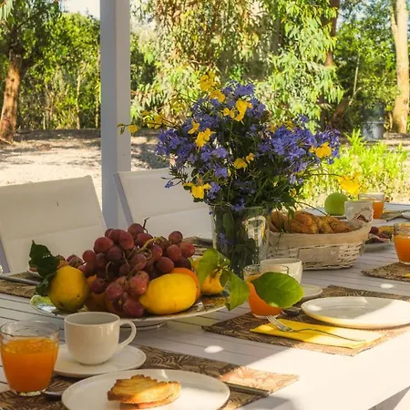 Laconella 8&4, Emma * 卡波利韦里